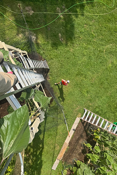 looking-down-from-the-top-of-the-sunflower-support-structure