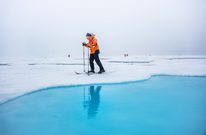 Dick in the tundra
