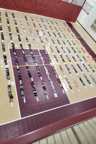 Rex's sock collection from above