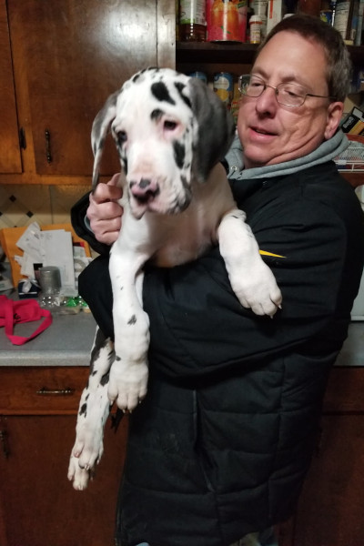 Minnie at 10 weeks old