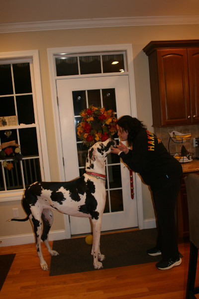 Minnie giving Lisa a kiss