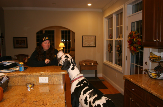 Minnie reaching her head over the countertop