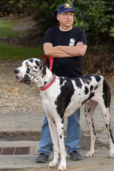 Minnie standing next to Ken
