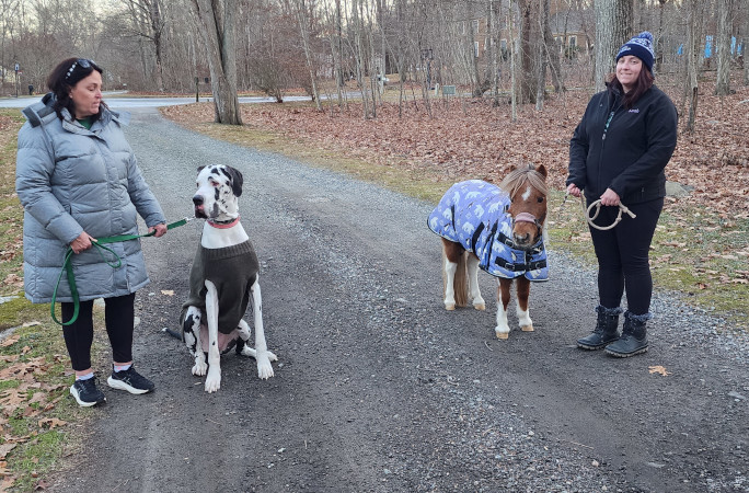 Minnie with a mini horse