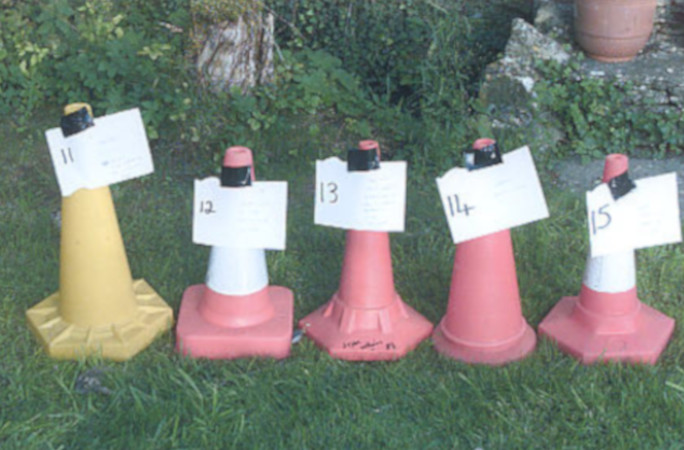 some of David's traffic cones