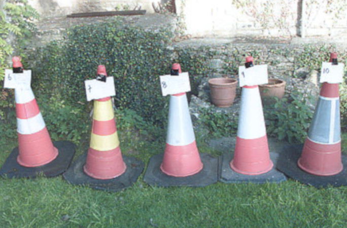 some of David's traffic cones