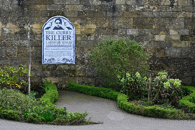 alnwick-poison-garden-aconitum