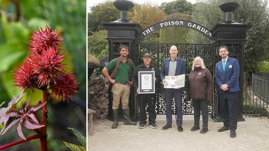 alnwick-poison-garden-castor-bean-plant-and-certificate-presentation
