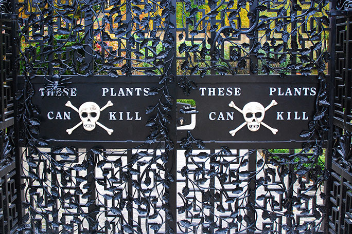 alnwick-poison-garden-gates-with-skull-and-crossbones