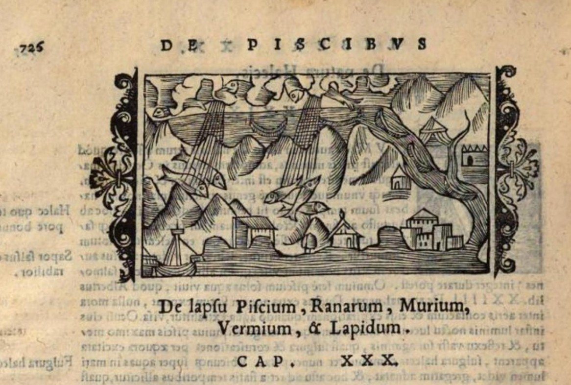 A 16th century woodcut showing a rain of Fish