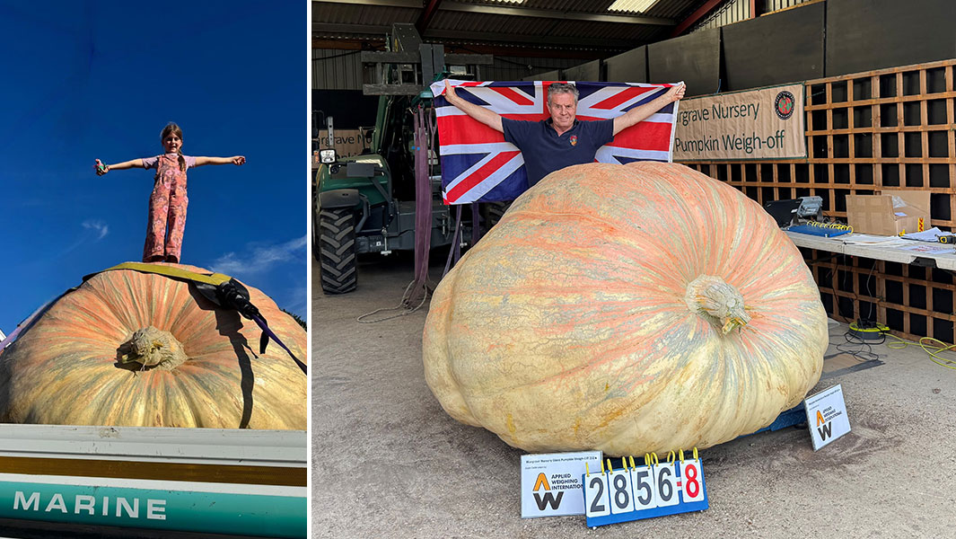 heaviest-pumpkin-bagheera-with-ian-paton-and-his-granddaughter