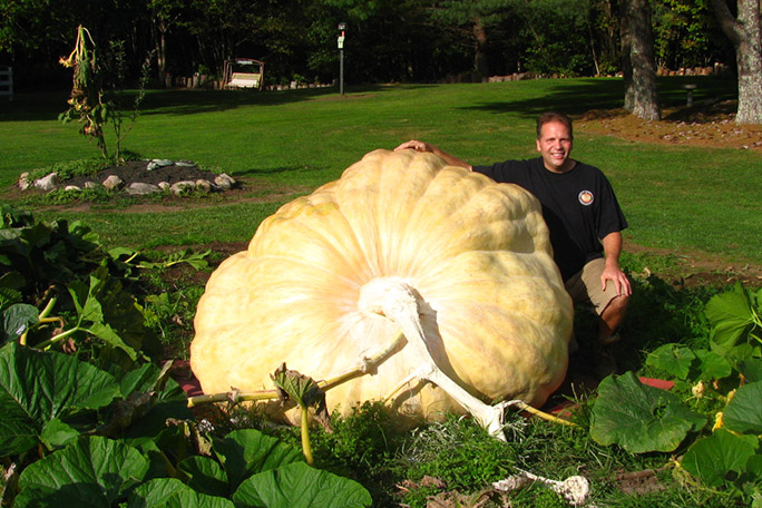 heaviest-pumpkin-ron-wallace-2012