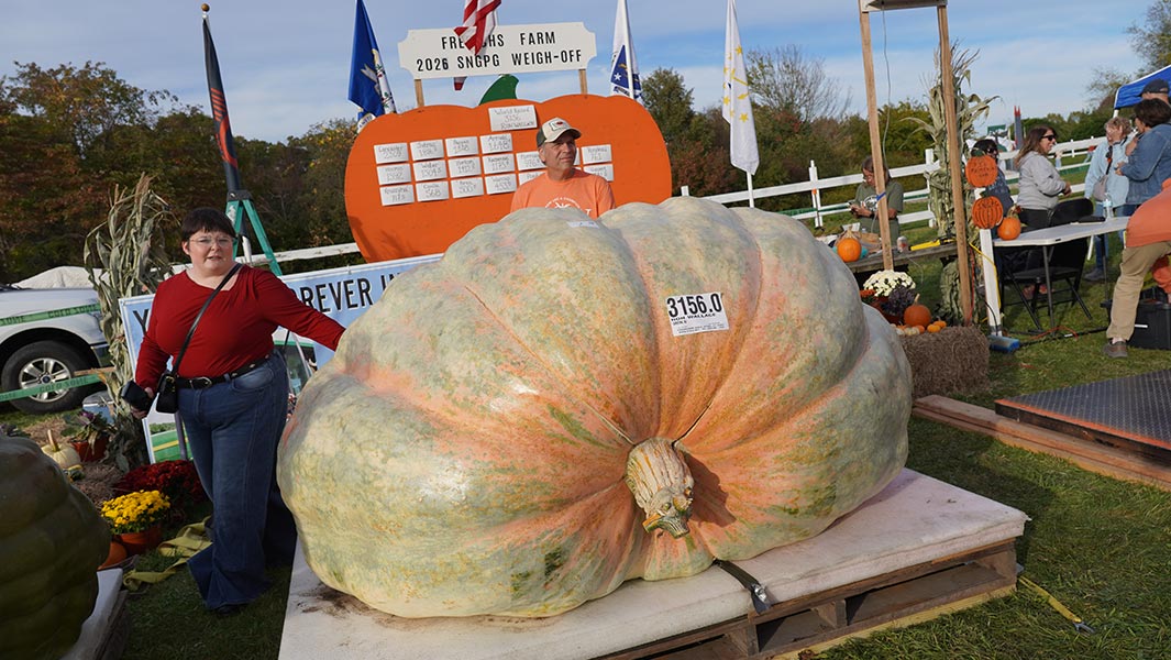 heaviest-pumpkin-ron-wallace-2026-start-and-end
