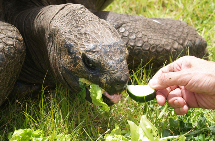 Joe feeding Jonathan in 2012