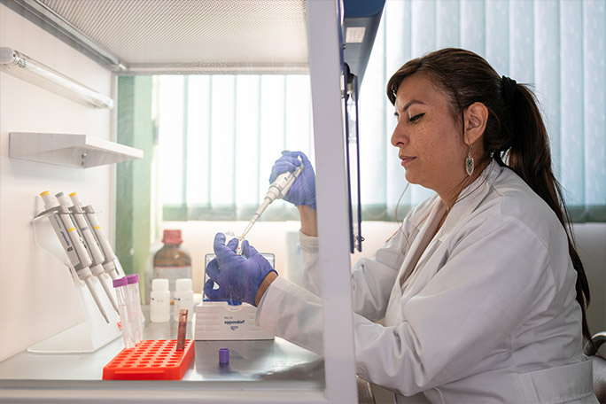 newest-wild-cat-genome-dna-study-in-lab-by-Paola-Nogales-Ascarrunz