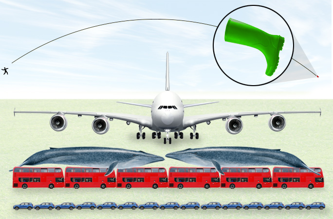 Illustration comparing how far the record-breaking welly was thrown