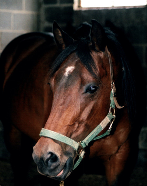 Fancy's old headshot