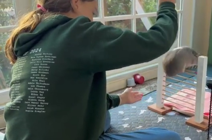 Back view of Cora jumping over the bar