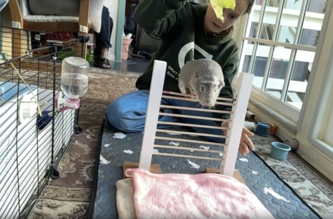 Cora standing on top of the bar