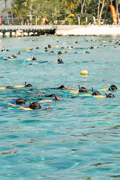 snorkellers in the water