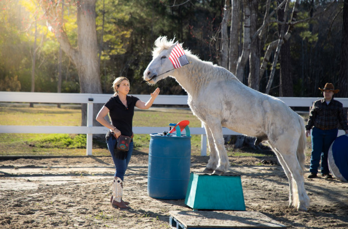 Gringo waving an American flag