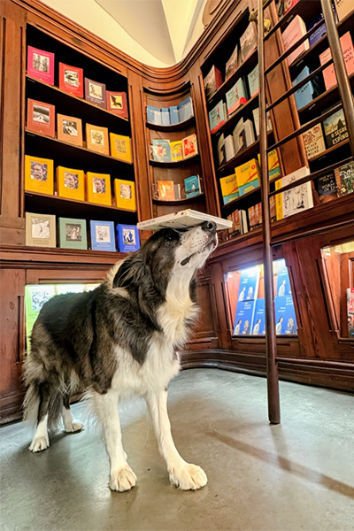 Leonard balancing a book on his head