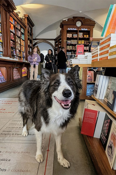 Leonard standing in the bookshop