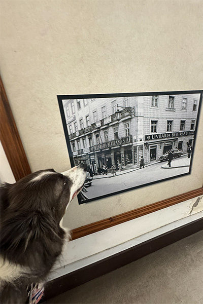 Leonard looking at an old photo of the shop