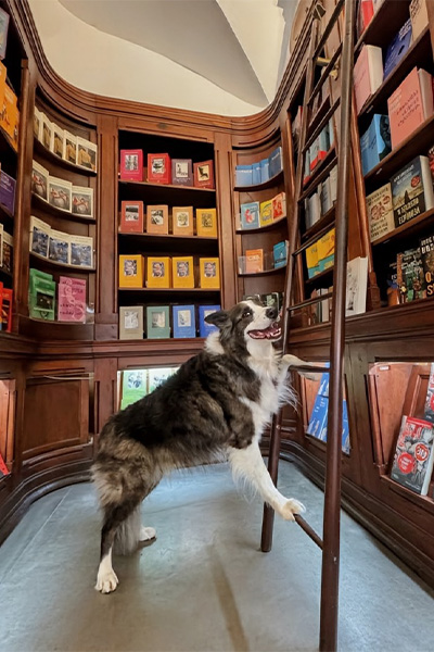 Leonar standing on a ladder