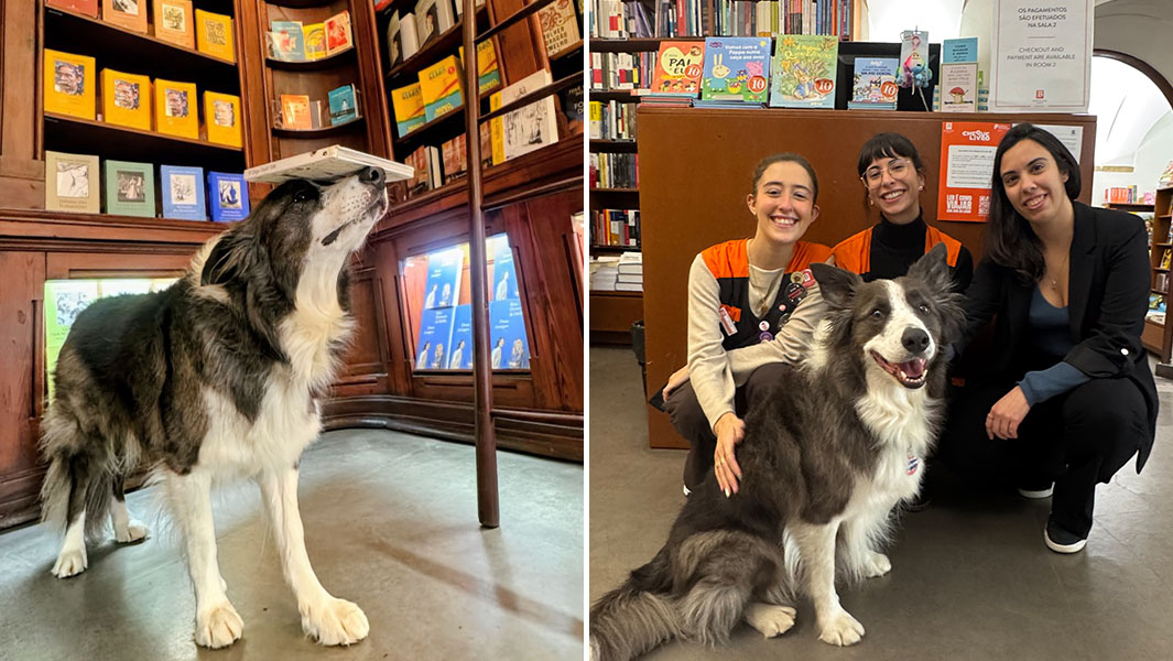 split image of Leonard Lee balancing a book on his head and posing with book shop staff