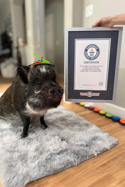 Merlin with his certificate