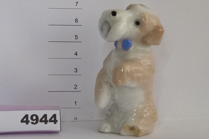 largest-collection-of-dog-related-items-Gabarr&oacute;-siblings