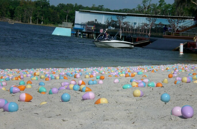 Many easter eggs in a park.   