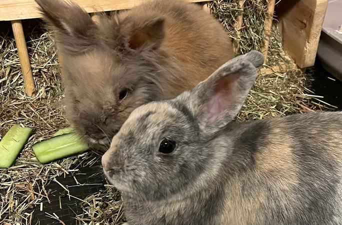 Herbie and Betty in 2024