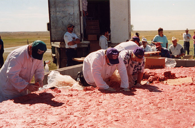 a giant patty of meat