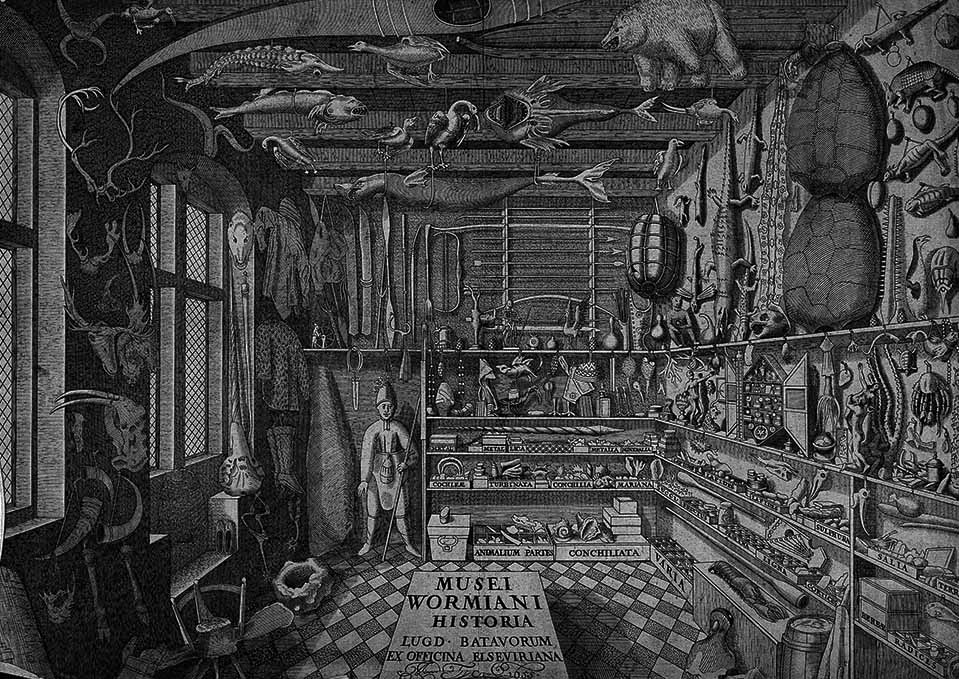 An engraving of an englightenment cabinet of curiosities