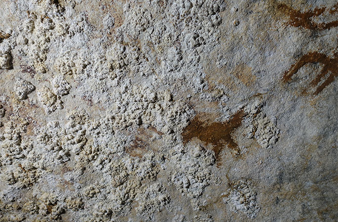 the cave art