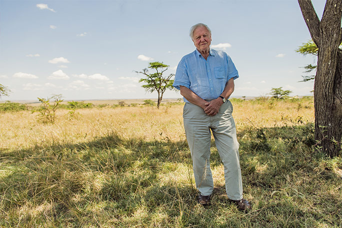 david-attenborough-on-netflix-series-a-life-on-our-planet