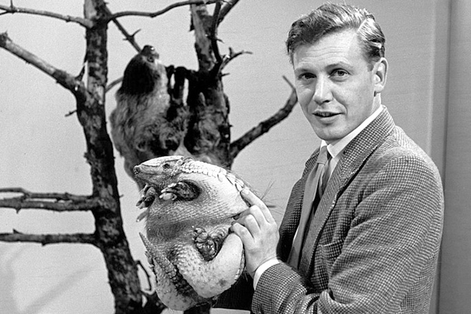 david-attenborough-with-armadillo-in-1963-on-bbc-series-attenborough-and-animals
