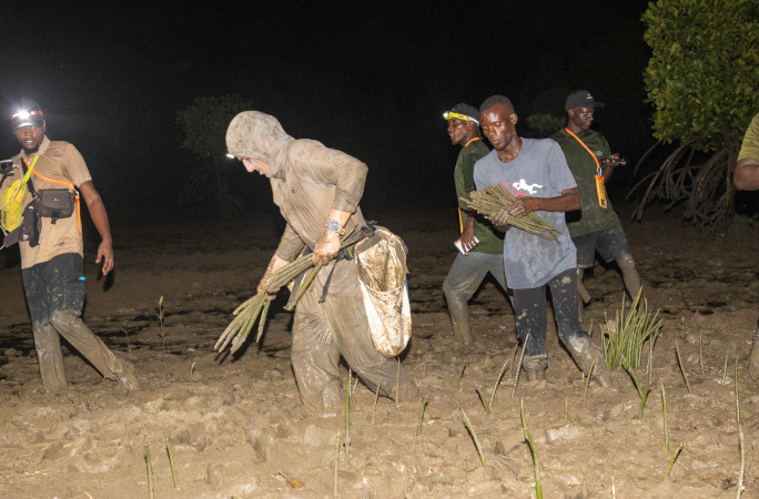 Antoine planting the mangroves at night with a group of helpers