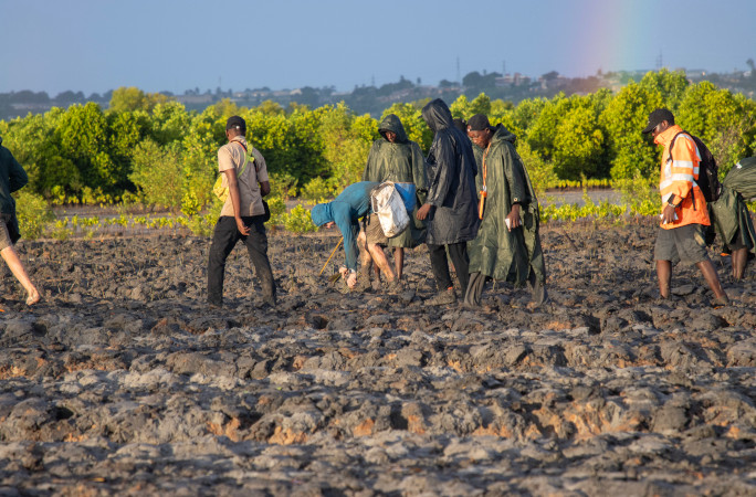 Planting with the group during the day