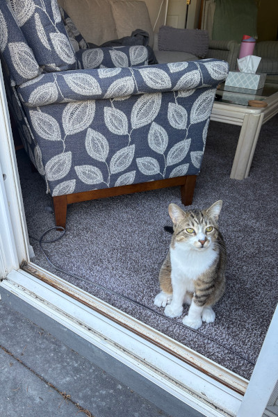 Toby sitting in the doorway