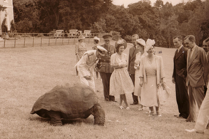 jonathan-the-tortoise-during-a-royal-visit-in-1947-including-then-princess-elizabath