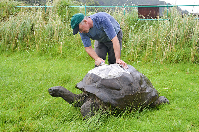 jonathan-the-tortoise-receives-his-first-ever-bath-in-2016