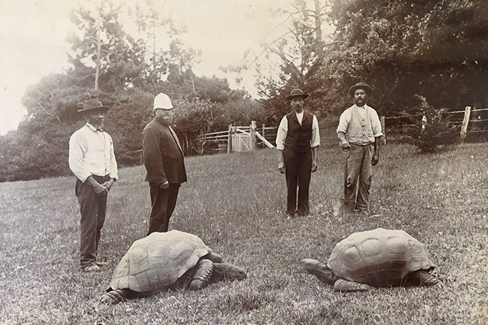 jonathan-the-tortoise-shown-left-in-a-photo-dating-to-the-1880s