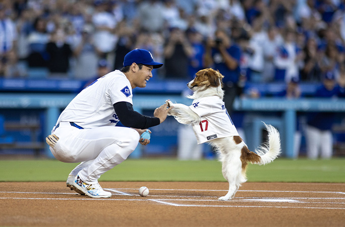 Shohei Ohtani on the field with his dog Decoy