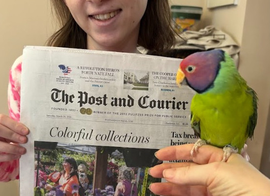 Spoodles next to a dated newspaper