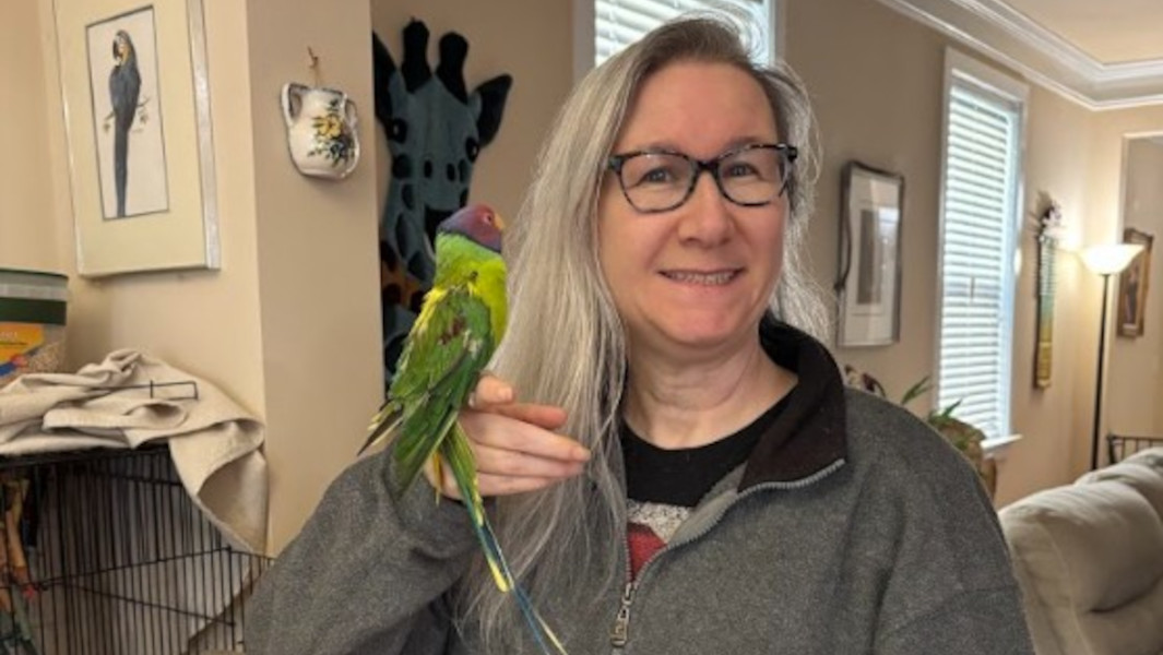 Split image of Spoodles and Spoodles on top of Amanda Beth's hand