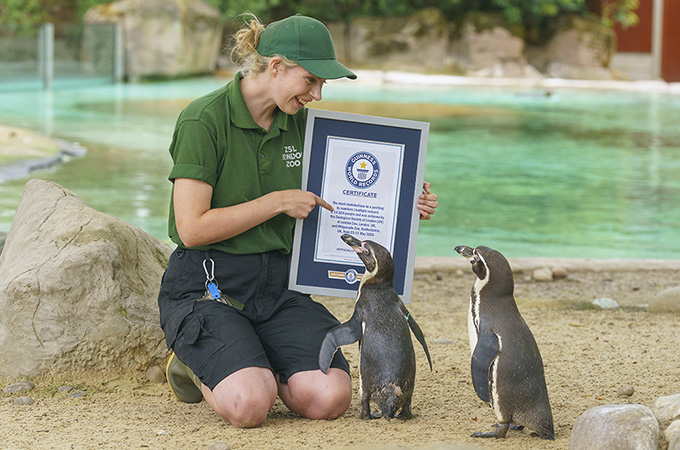ZSL with certificate and penguins