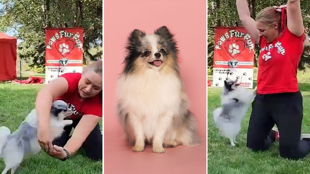 split image of Twinkie jumping through owner Jennifer's arms, posing and celebrating